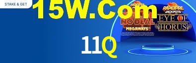 Premium Interface 11Q